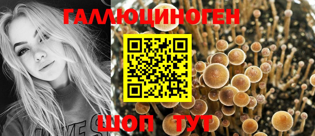 Галлюциногенные грибы GOLDEN TEACHER  наркота  Похвистнево  Вход с VPN 